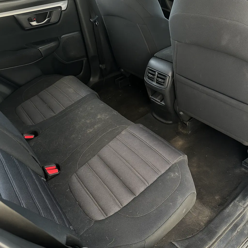 2019 Honda CR-V interior after deep cleaning